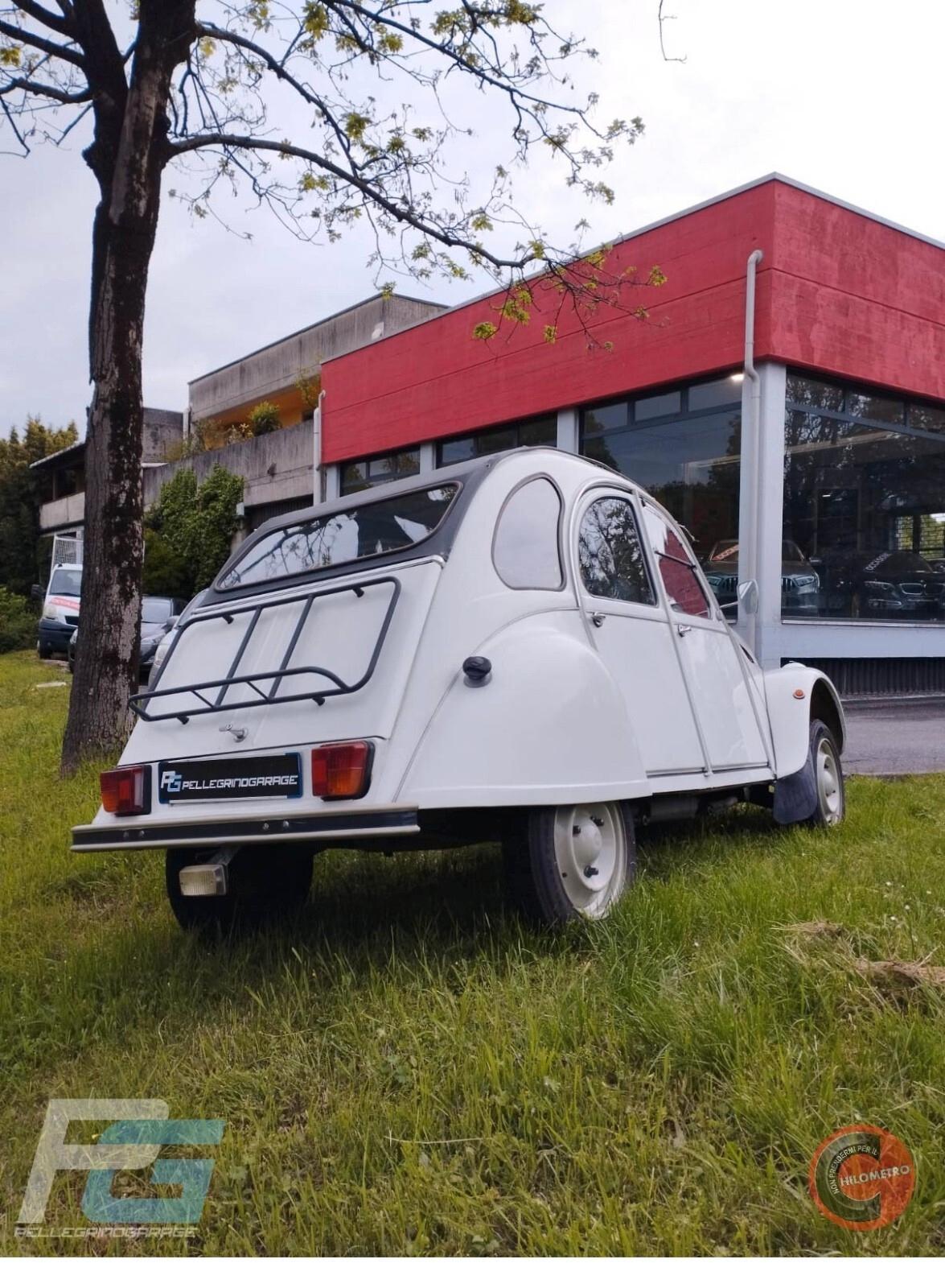 Citroen 2CV special