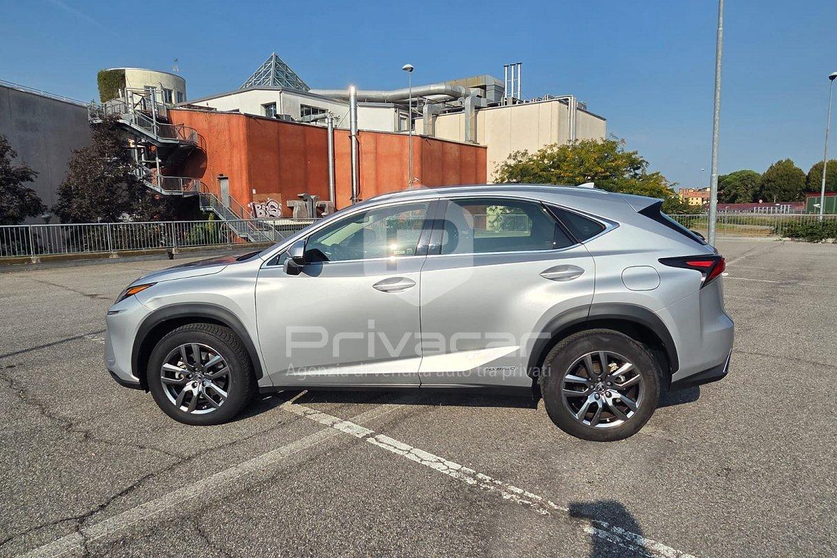 LEXUS NX Hybrid 4WD Business