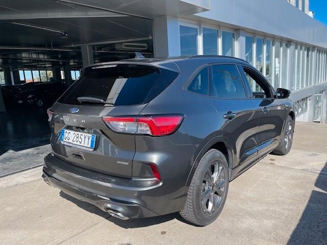 Ford Kuga 2.5 Full Hybrid 190 CV CVT 2WD ST-Line
