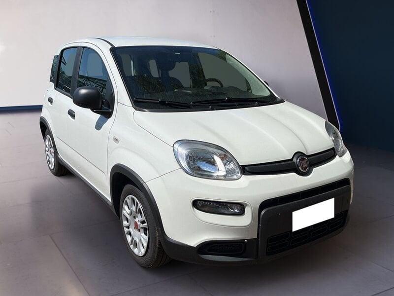 FIAT Panda My23 1.0 70cv Hybrid Panda