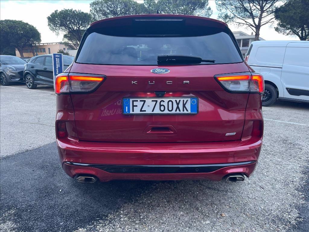 FORD Kuga 1.5 ecoblue ST-Line X 2wd 120cv auto del 2020