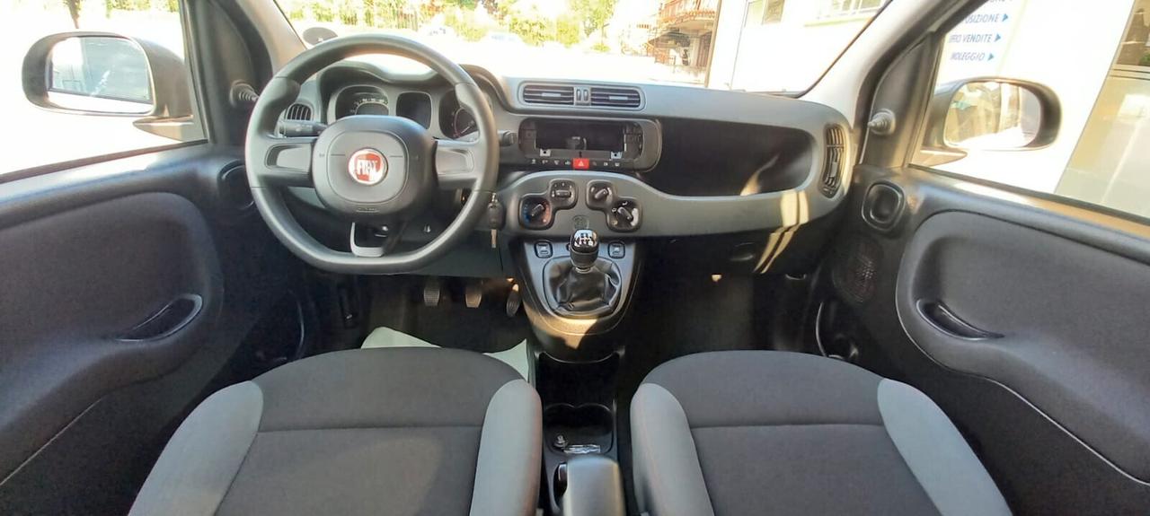 Fiat Panda Benzina cc. 1.242 5 Porte 5 Posti SOLO 55.075 Chilometri Utilizzabile anche per i Neopatentati.