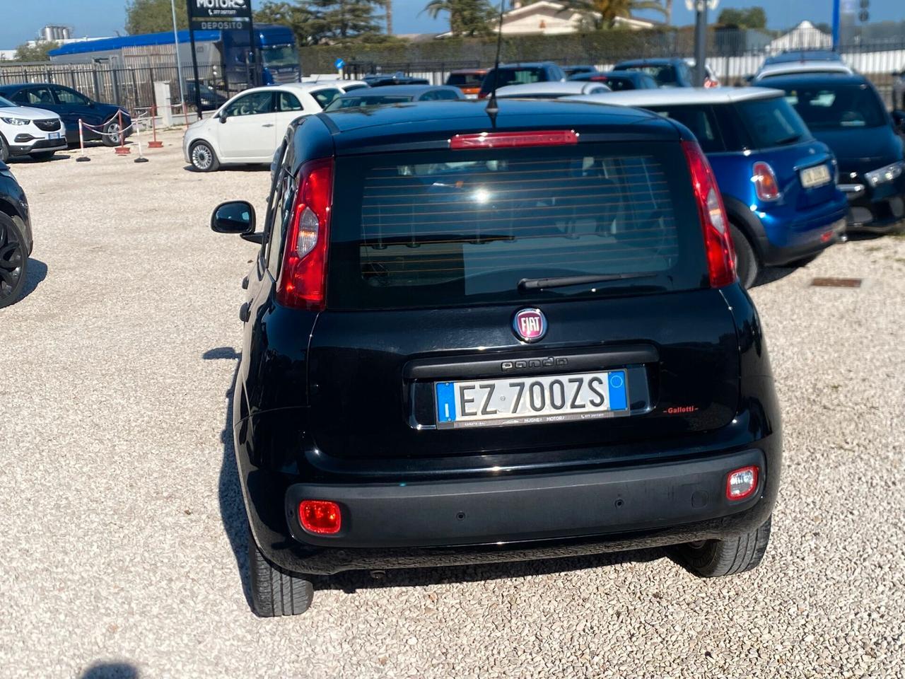 Fiat Panda 1.2 Lounge NEOPATENTATI UNICO PROPIETARIO BENZINA MANUALE