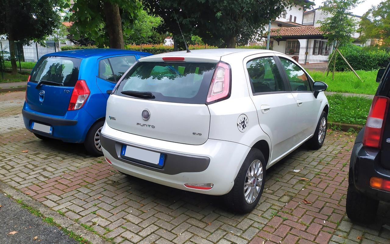 Fiat Punto Evo Punto Evo 1.4 5 porte Dynamic Natural Power