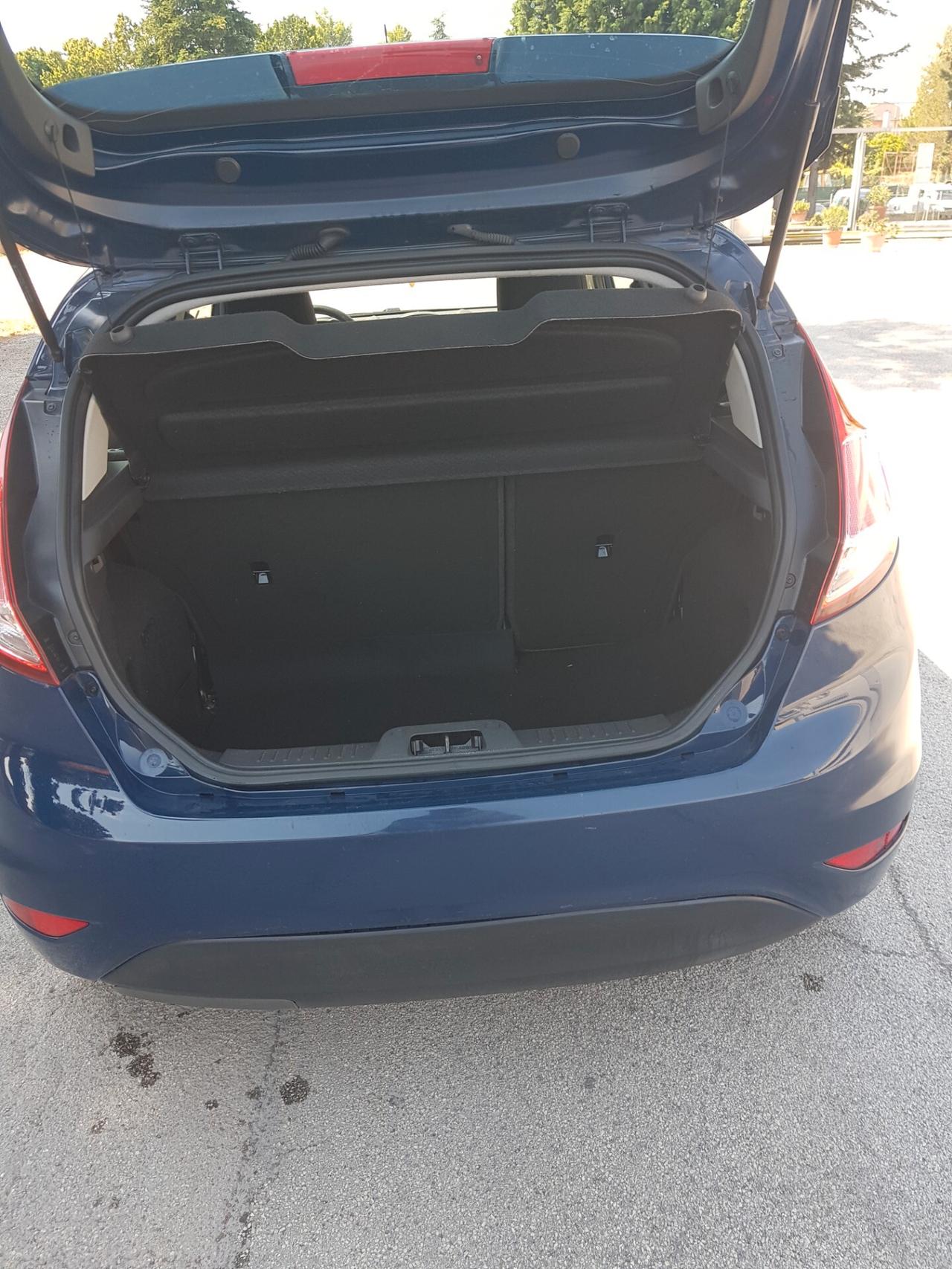 Ford Fiesta 1.5 TDCi 75CV 5 porte Titanium