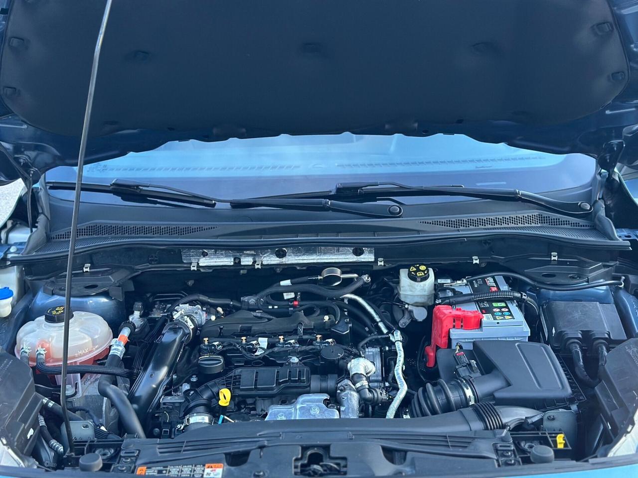 Ford Kuga 2022 1.5 EcoBlue 120 CV aut. 2WD ST-Line