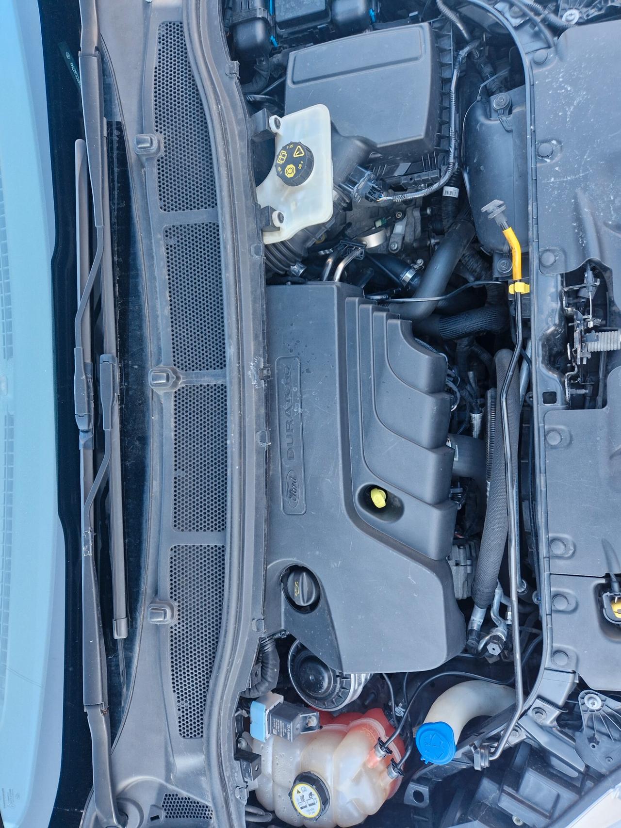 Ford Galaxy 2.0 EcoBlue 150 CV Start&Stop Aut. Titanium Business