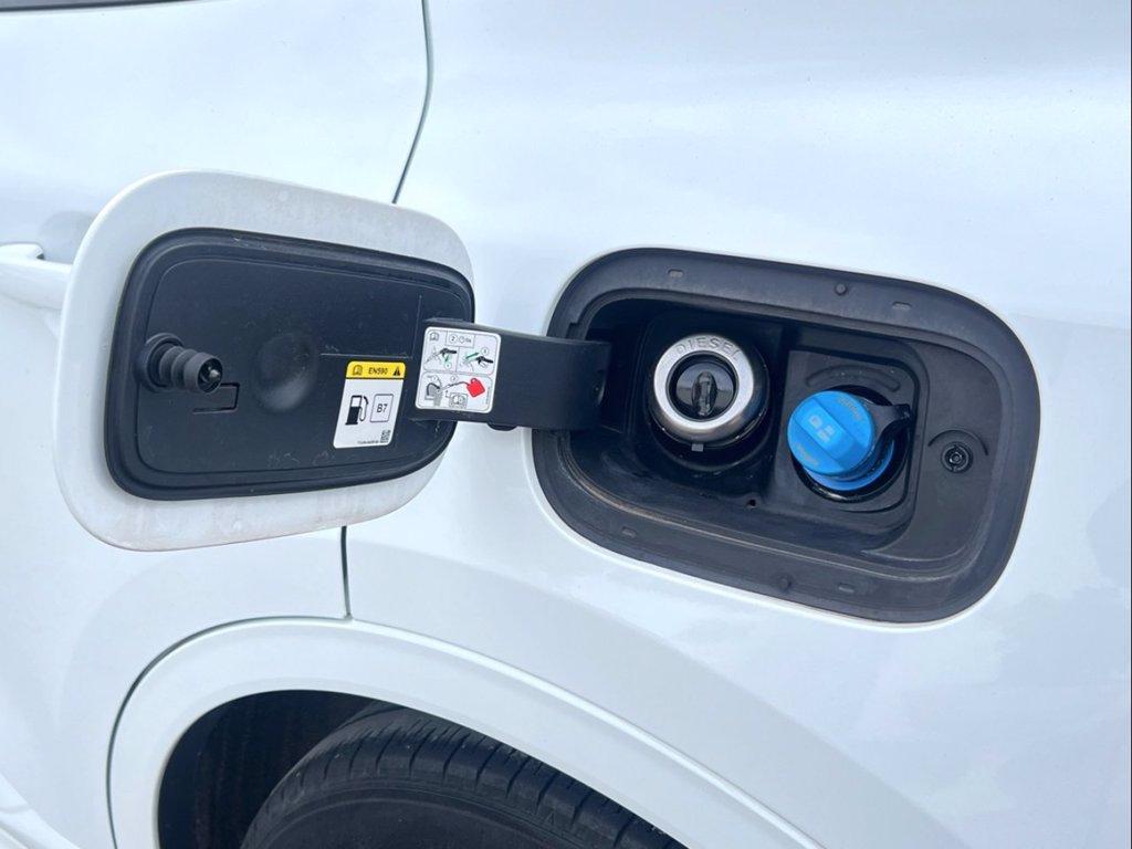 FORD Kuga 1.5 EcoBlue 120 CV aut. 2WD ST-Line X del 2022