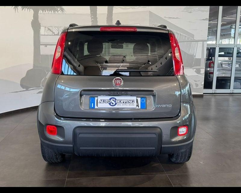 FIAT Panda 3ª serie 1.0 FireFly S&S Hybrid