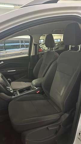 Ford Kuga 1.5 tdci Plus 120cv