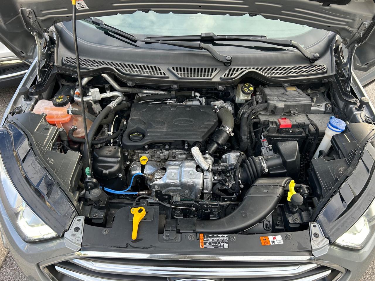 Ford EcoSport 1.5 Ecoblue 95 CV ST-Line Black 2020