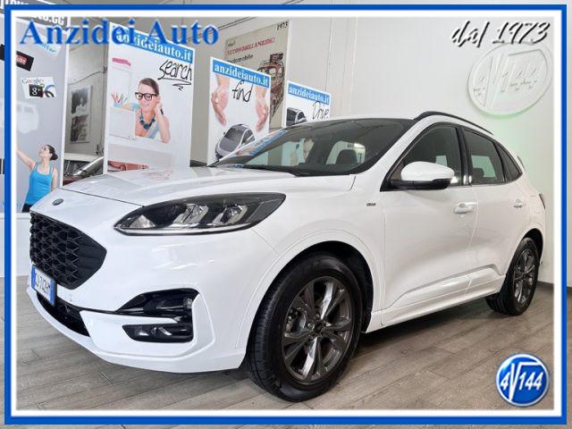 FORD Kuga 1.5 EcoBlue 120 CV aut. 2WD ST-Line