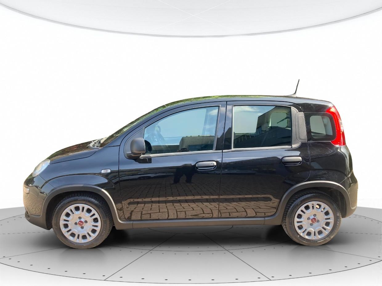 FIAT Pandina 1.0 firefly hybrid s&s 70cv