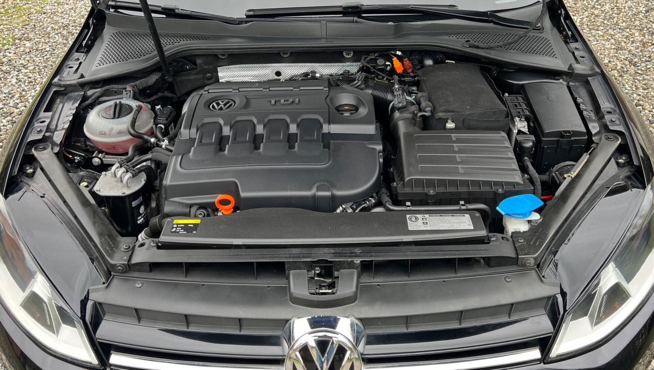 Volkswagen Golf 1.6 TDI 5p. Highline BlueMotion Technology