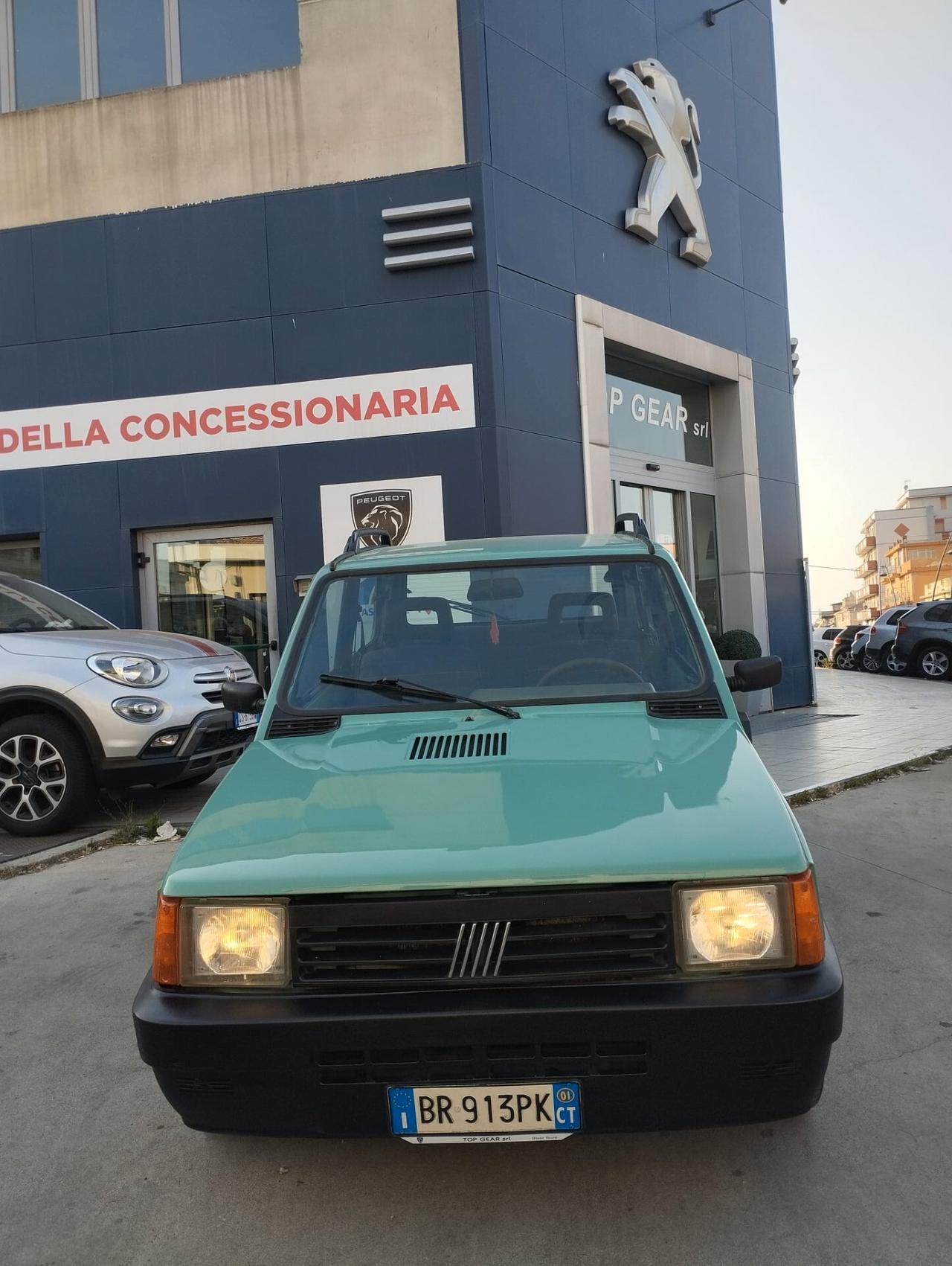 Fiat Panda 1100 i.e. cat Young