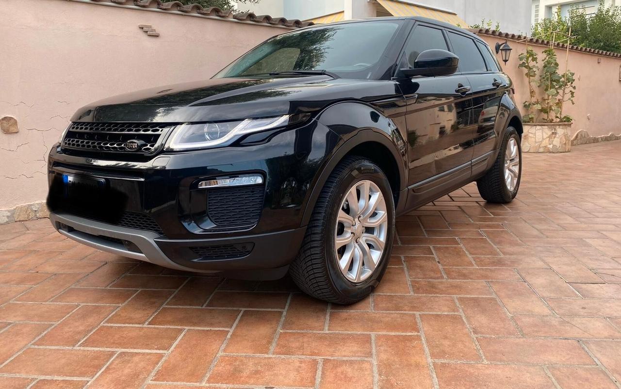 Land Rover Range Rover Evoque Range Rover Evoque 2.0 TD4 150 CV 5p. Pure PROMO FINANZIAMENTO