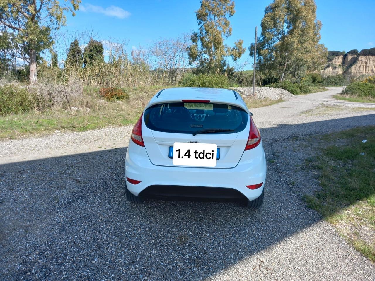 Ford Fiesta 1.4 TDCi 70CV 5 porte Titanium