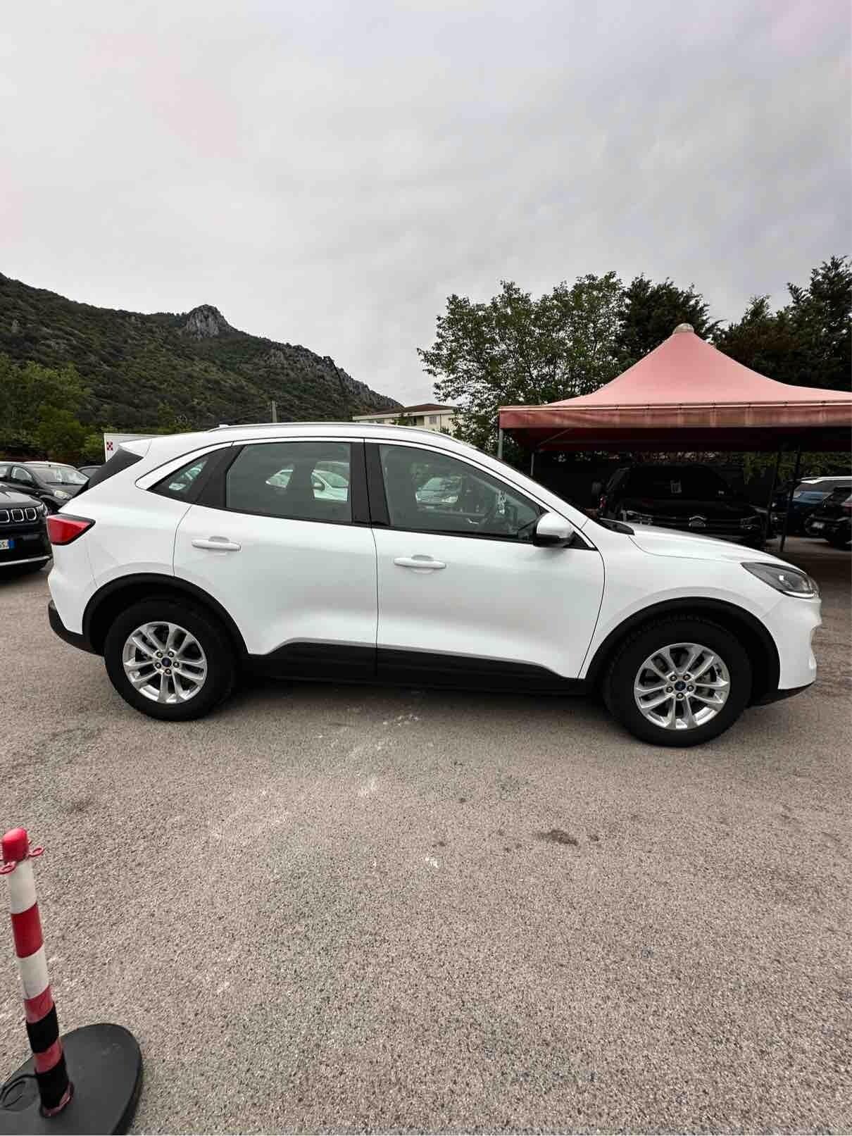 Ford Kuga 1.5 EcoBlue 120 CV aut. 2WD Titanium Business