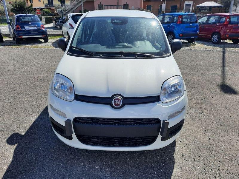 FIAT Pandina PANDA MY26 1.0 65CV HYBRID ICON