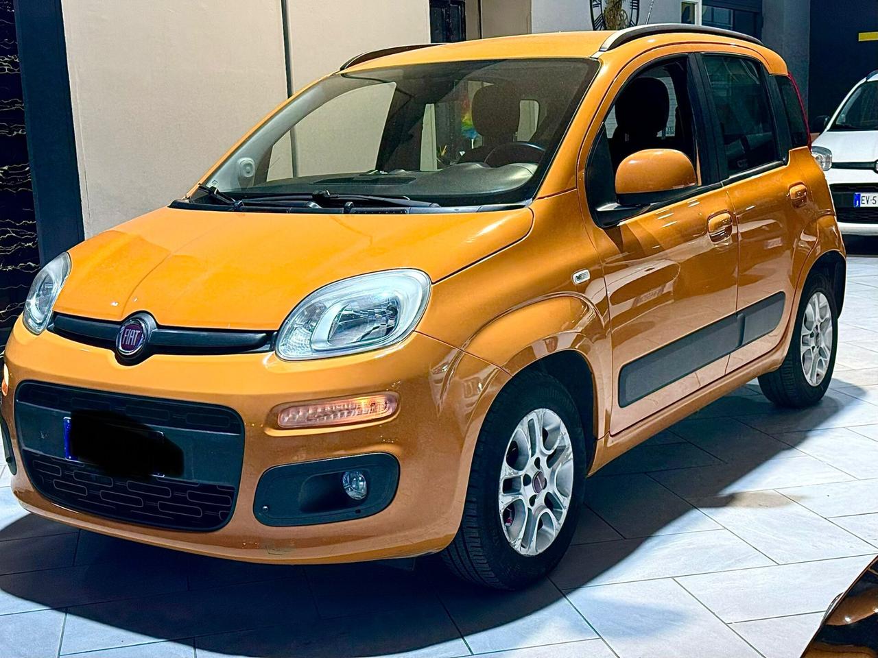NEW Fiat Panda VARI MODELLI OCCASIONEE