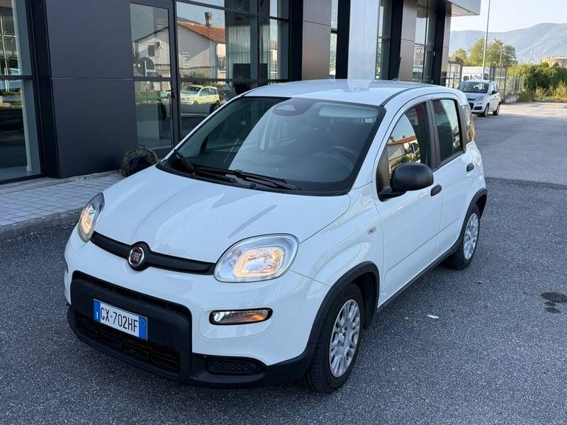FIAT Panda NEW 1.0 70cv Hybrid PANDA