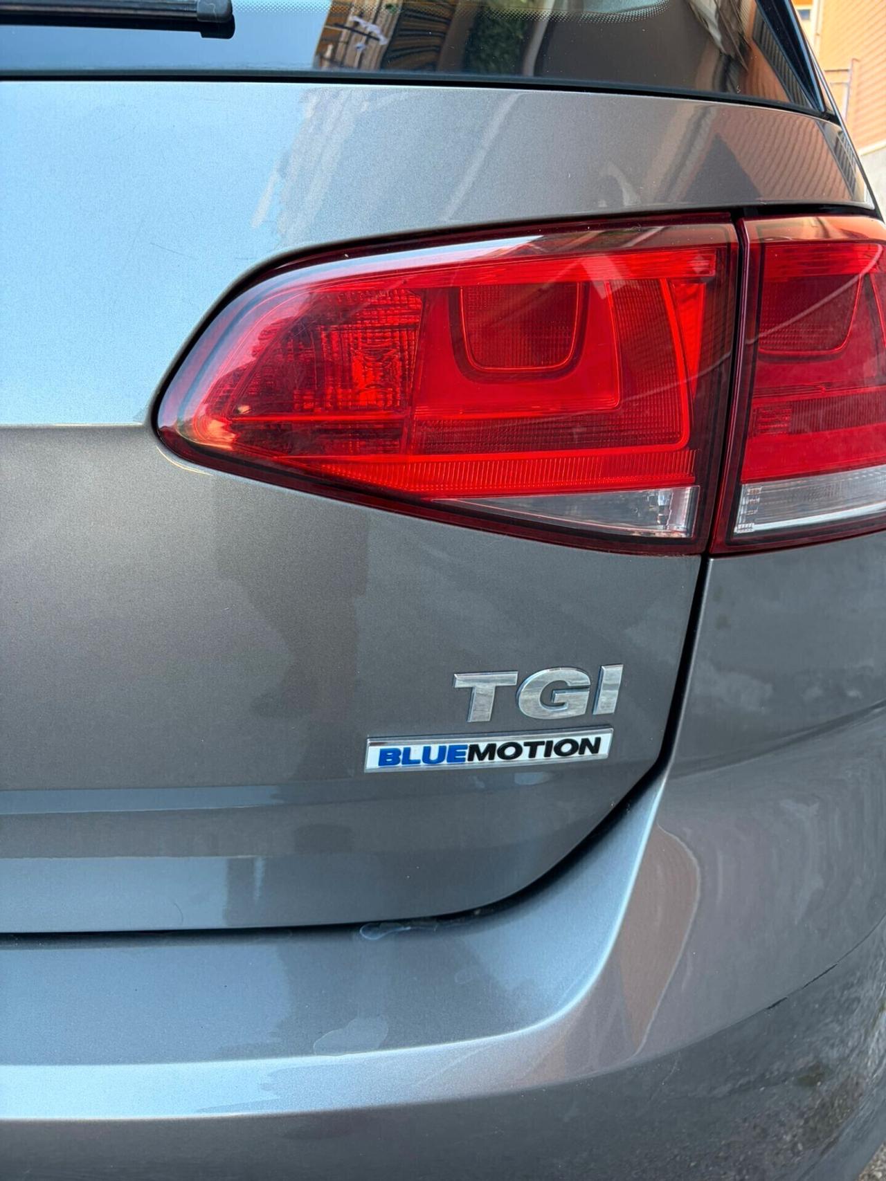 Volkswagen Golf 1.4 TGI 5P EXECUTIVE BLUEMOTION