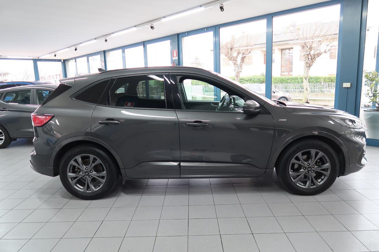 Ford Kuga 2.0 EcoBlue 120 CV aut. ST-Line