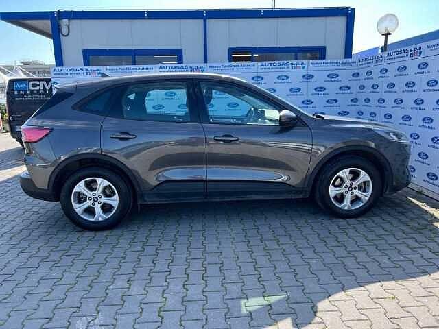 Ford Kuga 1.5 EcoBlue 120 CV aut. 2WD Connect