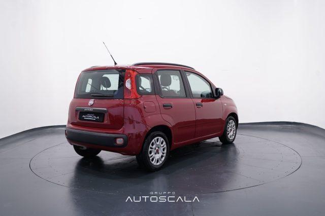 FIAT Panda 1.2 69cv Easy