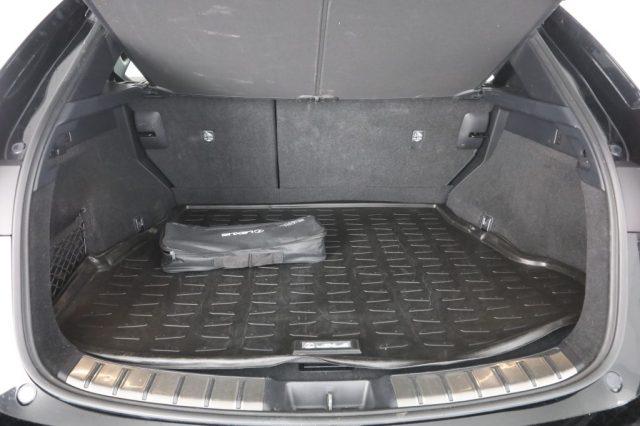 LEXUS Other NX NX Hybrid 4WD F-Sport