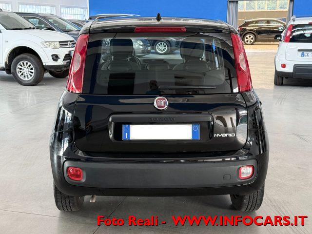 FIAT Panda Hybrid 1.0 FireFly 70 cv - PROMO