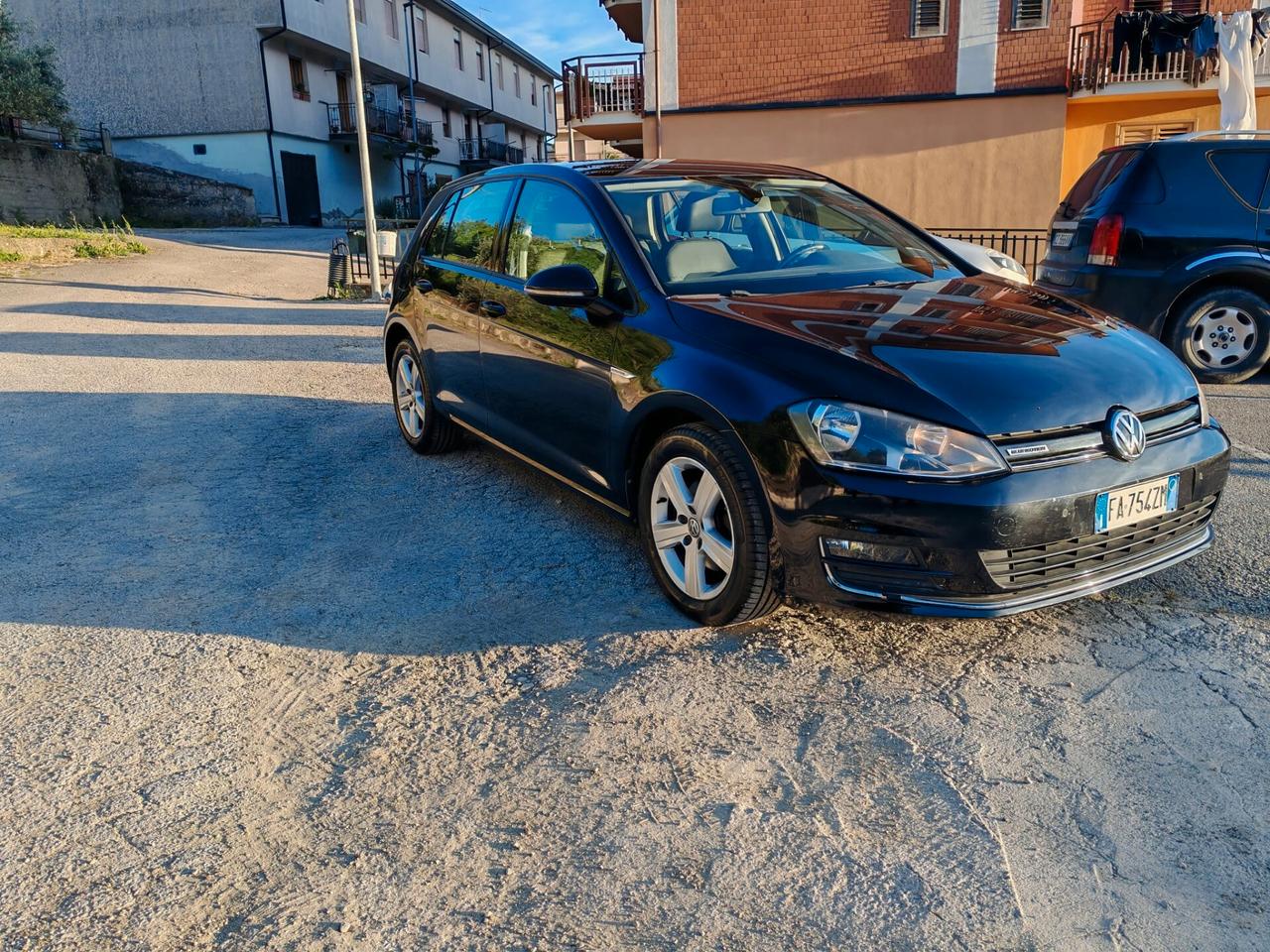 Volkswagen Golf 1.4 TGI 5p. Highline BlueMotion