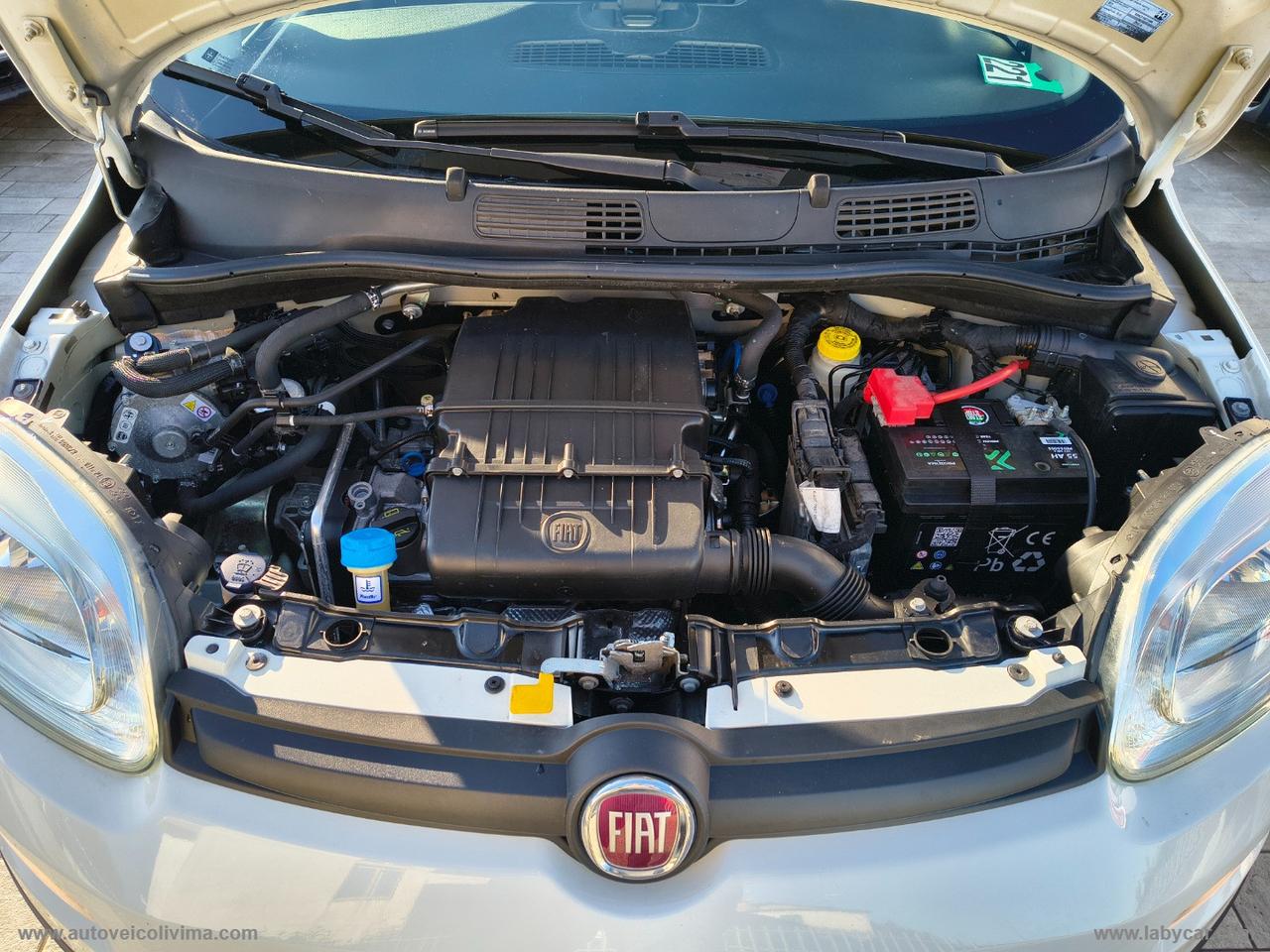 FIAT Panda 1.2 EasyPower Easy TAGLIANDI FIAT