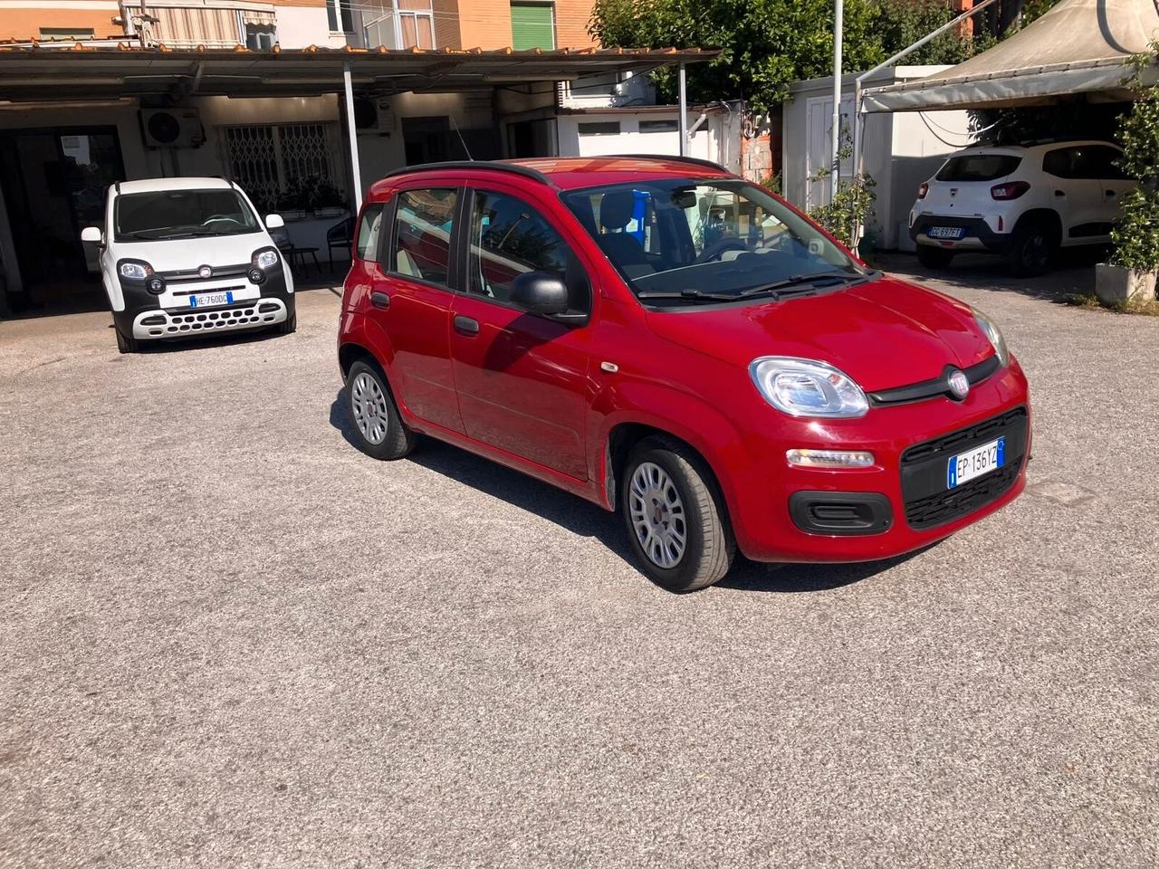 FIAT PANDA 1.2 69cv 5 Porte Easy