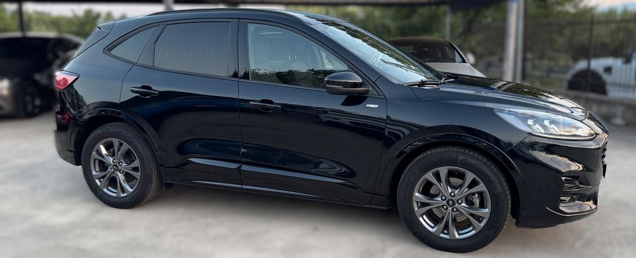 Ford Kuga 1.5 EcoBoost 150 CV 2WD ST-Line