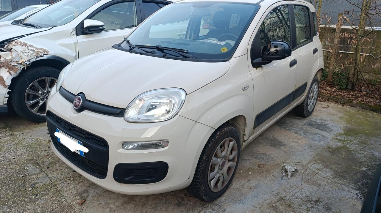 Fiat Panda EURO 6 OK NEOPATENTATI