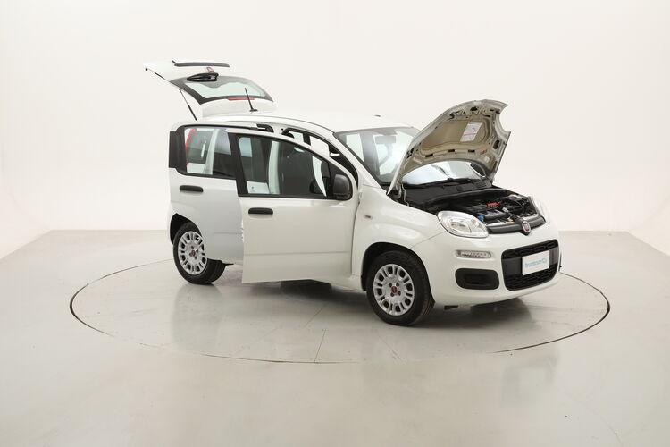 Fiat Panda Easy BR594689 1.2 Benzina 69CV