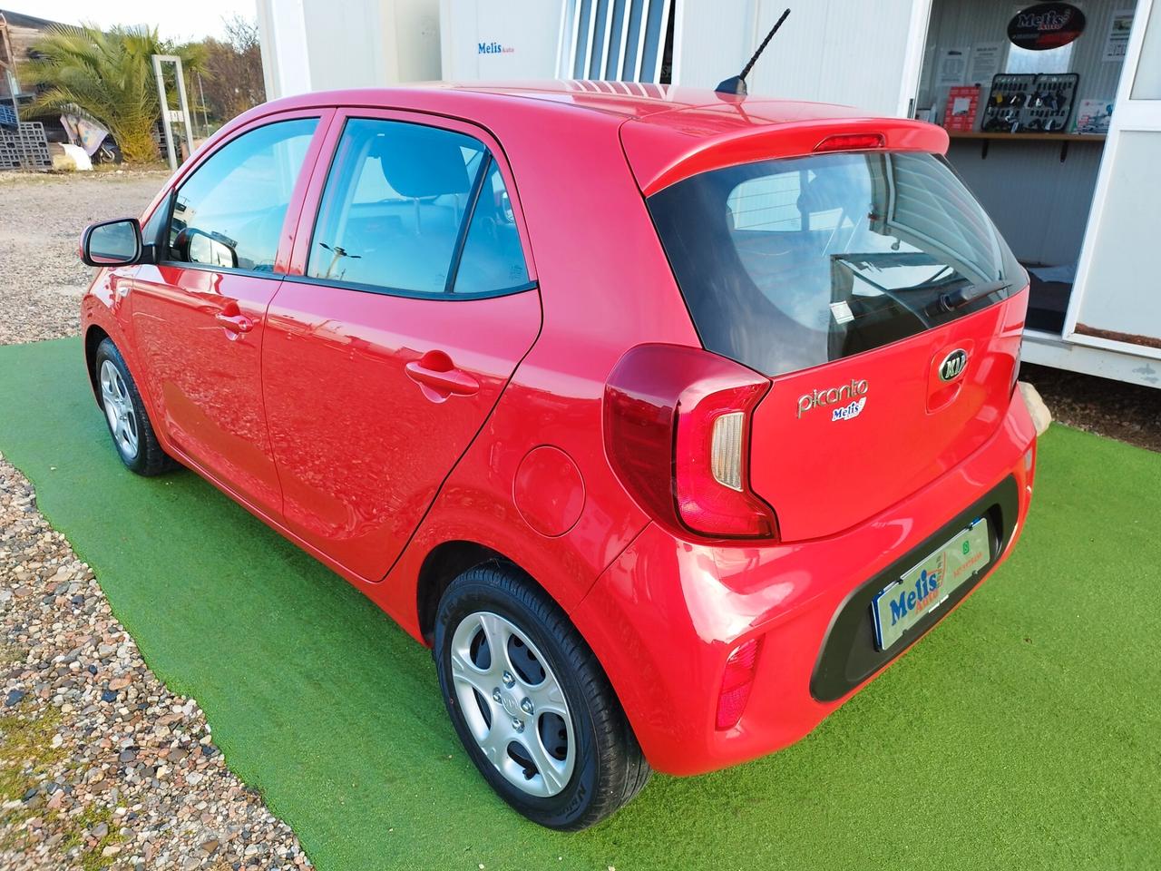 Kia Picanto 1.0 12V 5 porte X Line ok neopatentati