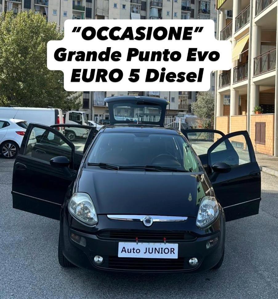 Fiat Punto Evo 1.3 Mjt 75 CV DPF 5 porte S&S Active