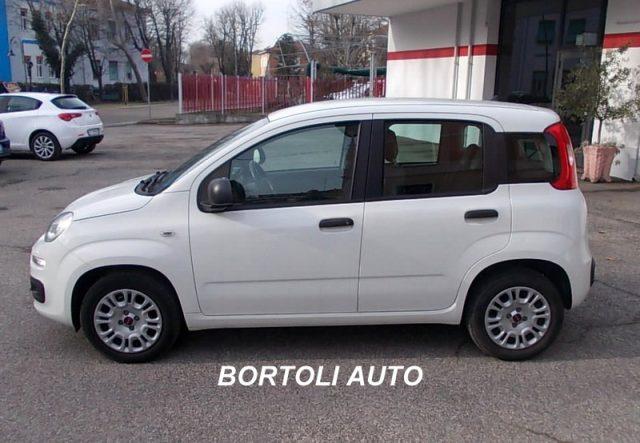 FIAT Panda 1.2 35.000 KM EASY IDONEA PER NEOPATENTATI