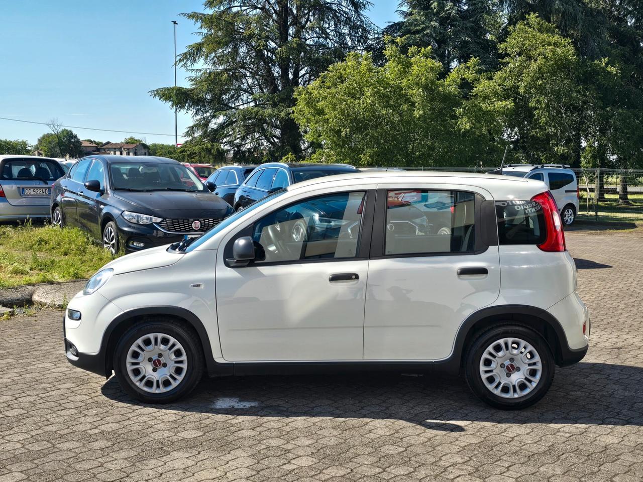 Fiat Panda Cross 1.0 Hybrid - BLUETOOTH