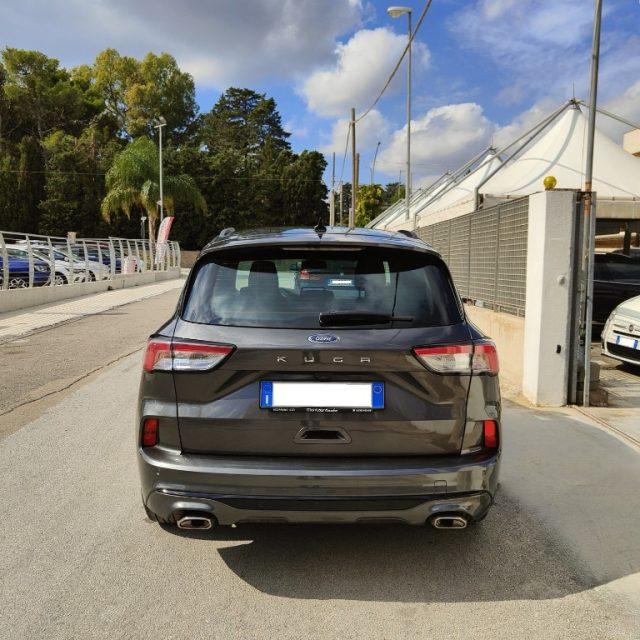 FORD Kuga 1.5 EcoBlue 120 CV 2WD ST-Line