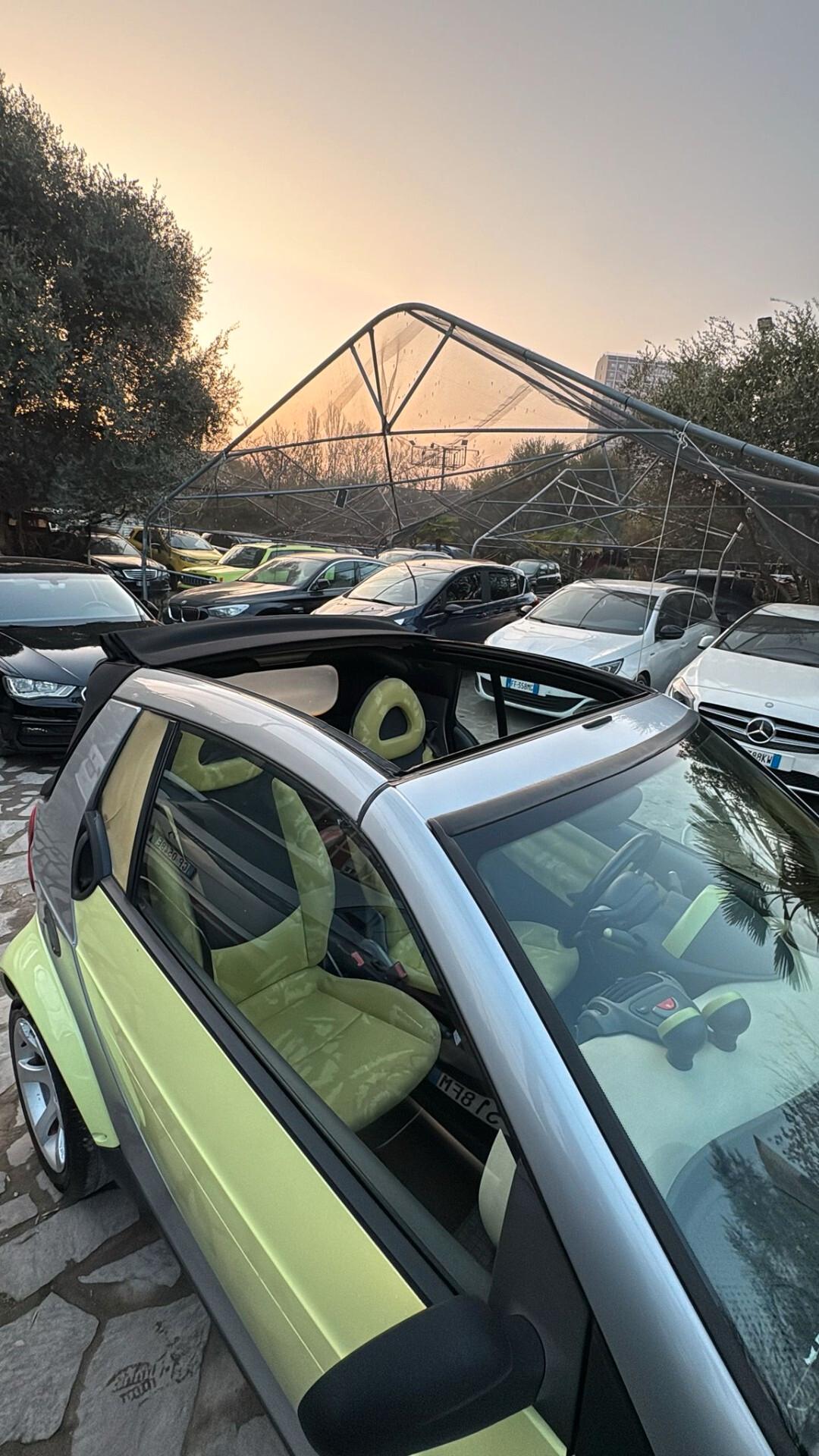 Smart ForTwo 700 cabrio passion (45 kW) NEOPATENTATI