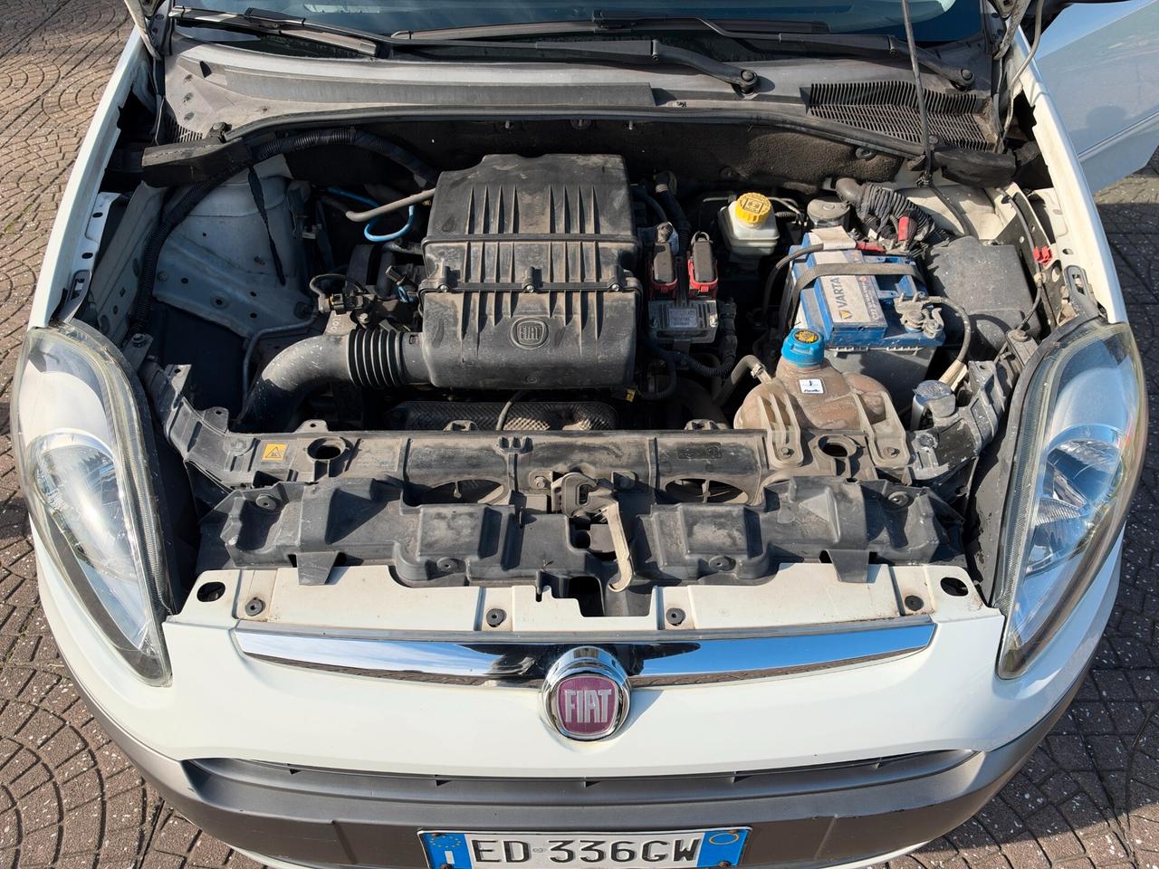 Fiat Punto Evo 1.2 5 porte Active