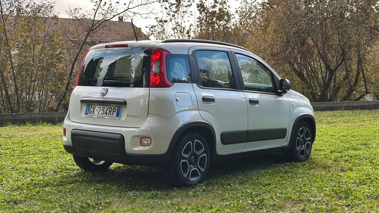 Fiat Panda 1.0 FireFly S&S Hybrid 2022 Perfetta NEOP LEGGI TESTO