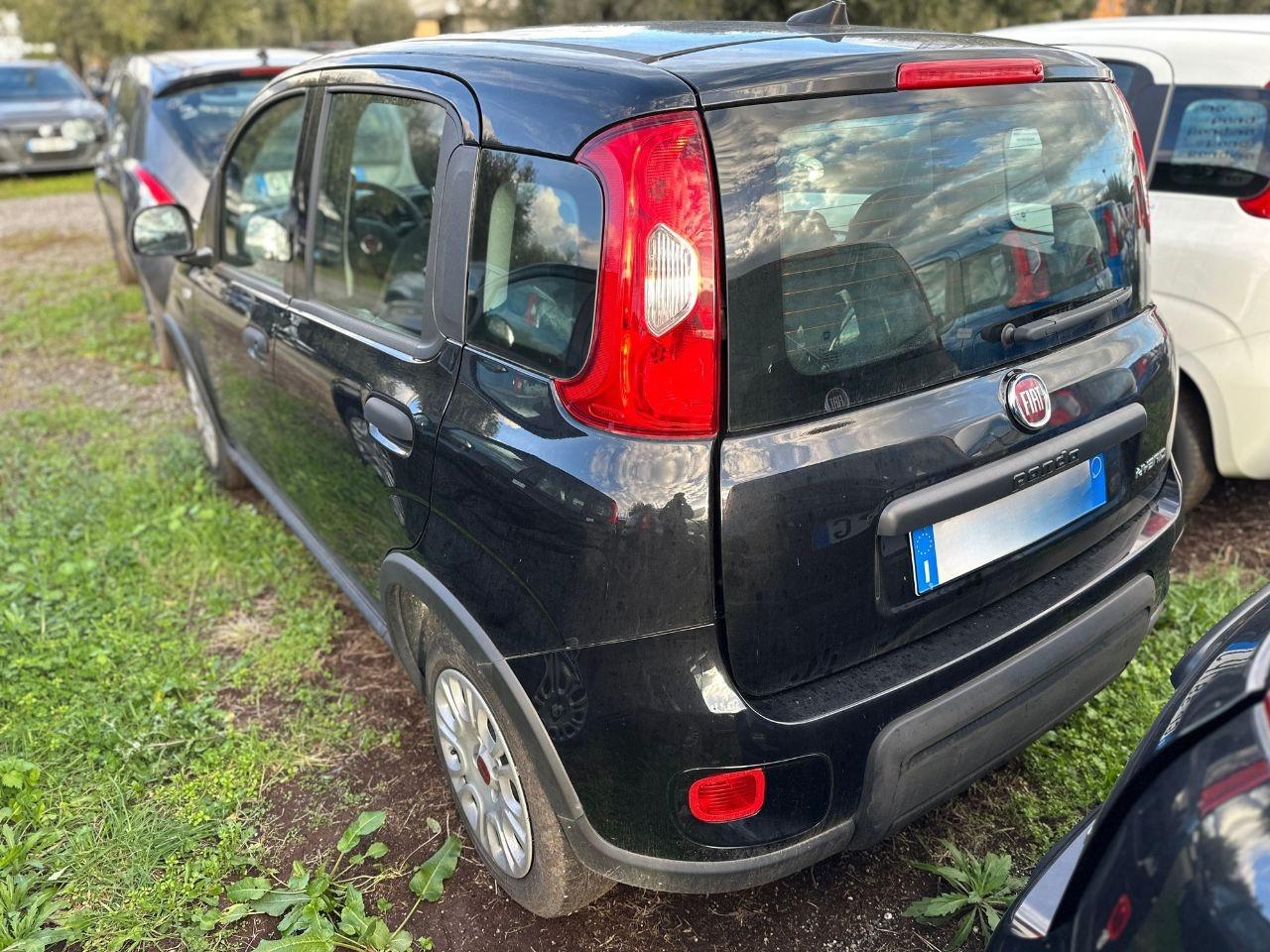 FIAT Panda III 2021 - Panda 1.0 firefly hybrid s&s 70cv 5p.ti