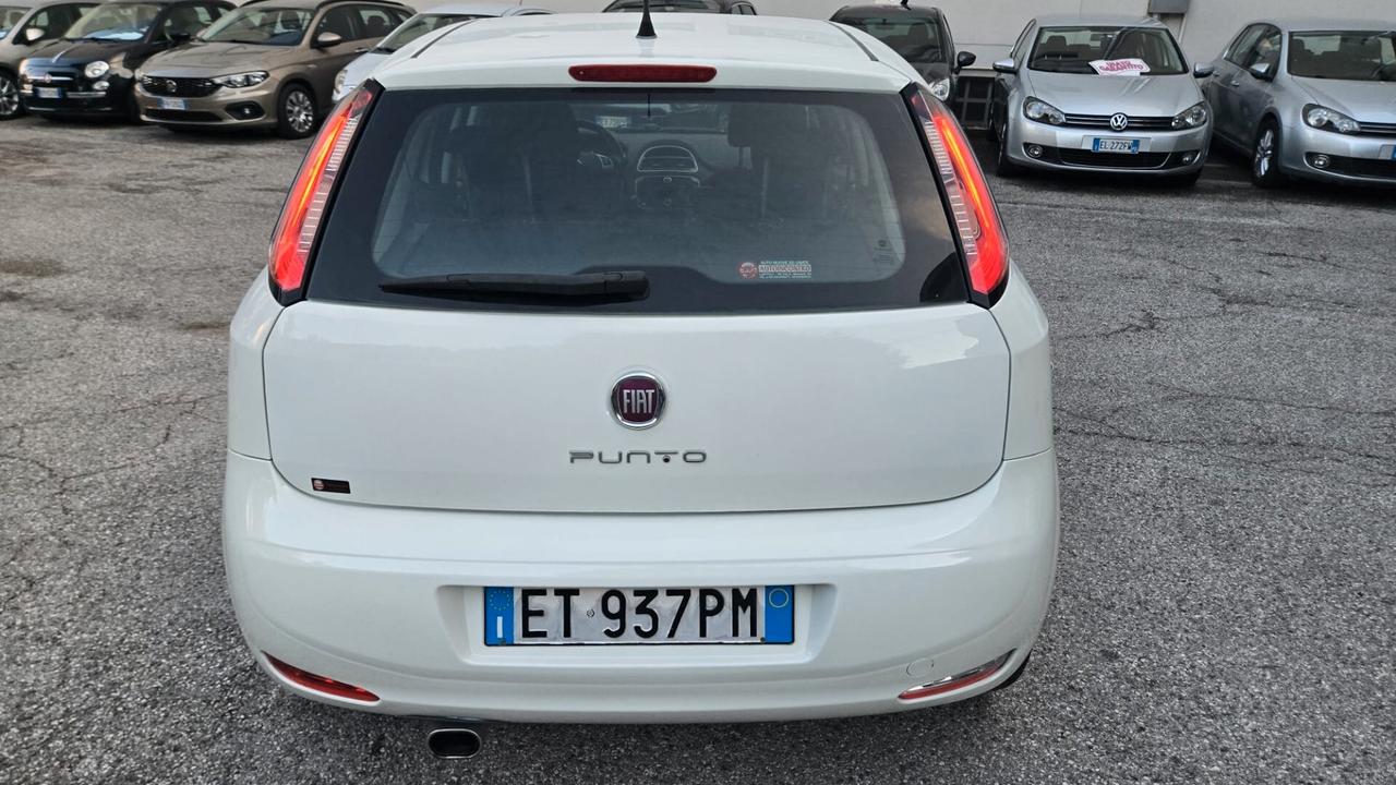 Fiat Punto 1.2 8V 5 porte Street Ok Neopatentati