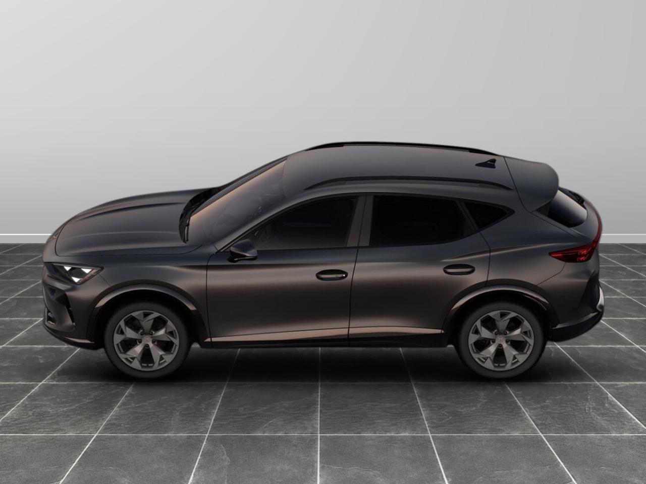 Cupra Formentor 2.0 tdi 150cv dsg