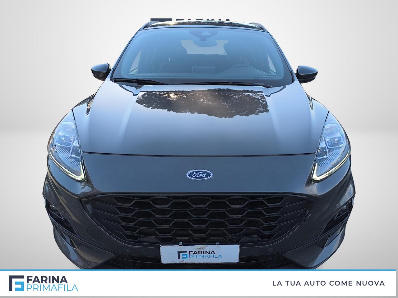 FORD Kuga III 2020 - Kuga 2.5 phev ST-Line X 2wd 225cv cvt