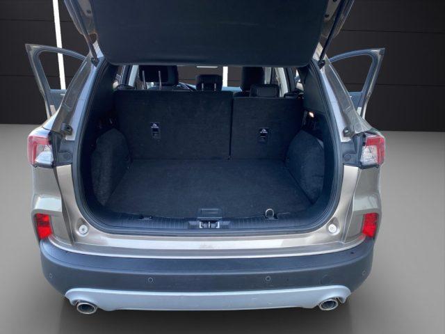 FORD Kuga 1.5 EcoBlue 120 CV 2WD Titanium